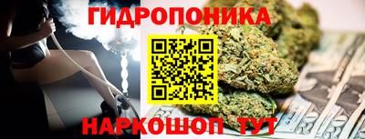 ECSTASY Сланцы