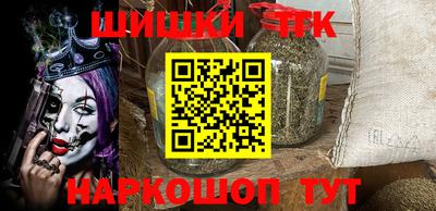 соль ск Славгород