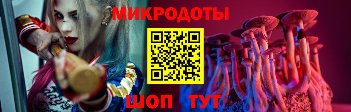 Галлюциногенные грибы Psilocybe Бийск