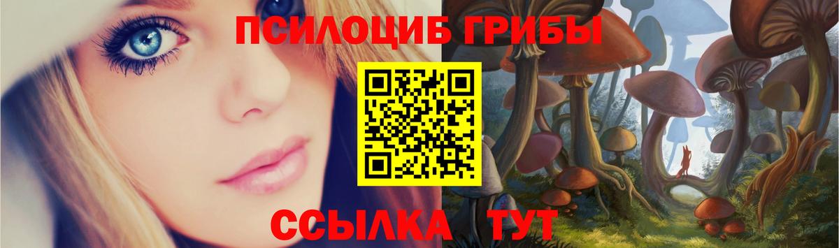 Бийск  Псилоцибиновые грибы Psilocybine cubensis  Вход с VPN 